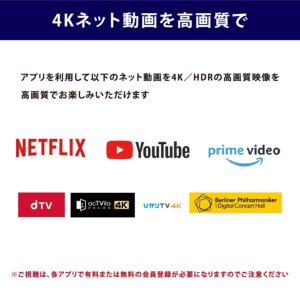 激安【訳アリ品】 Panasonic ( パナソニック ) VIERA ビエラ 地上
