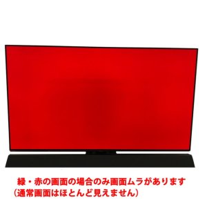 激安【訳アリ品】 Panasonic ( パナソニック ) VIERA ビエラ 地上