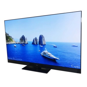 激安4K有機ELテレビ Panasonic VIERA TH-65HZ2000 ビエラ 地上・ＢＳ・１１０度ＣＳデジタルハイビジョン 65インチ 65型  Bランク|PCジャングル