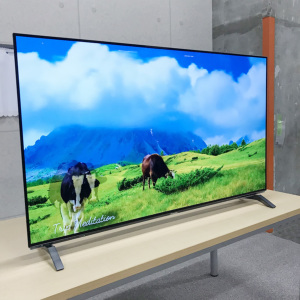 激安有機ELテレビ Panasonic TH-55EZ950 VIERA ビエラ 地上・BS・110度 ＣＳデジタルハイビジョン パナソニック  55インチ 中古 Cランク|PCジャングル