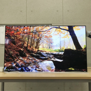 【未使用】Panasonic VIERAウォールフィットテレビTH-55LW1L TH-55LW1L パナソニック 55V型 4K有機EL VIERA ウォールフィットテレビ