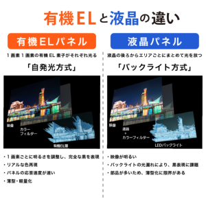 激安液晶テレビ Panasonic TH-60EX850 地上・BS・110度CS