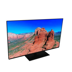 激安有機ELテレビ Panasonic TH-65FZ950 VIERA 地上・BS・110度CS