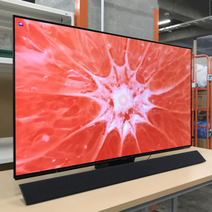 激安有機ELテレビ Panasonic TH-55FZ1000 VIERA ビエラ 地上・BS・110 激安有機ELテレビ Panasonic TH-55FZ1000 VIERA ビエラ 地上・BS・110
